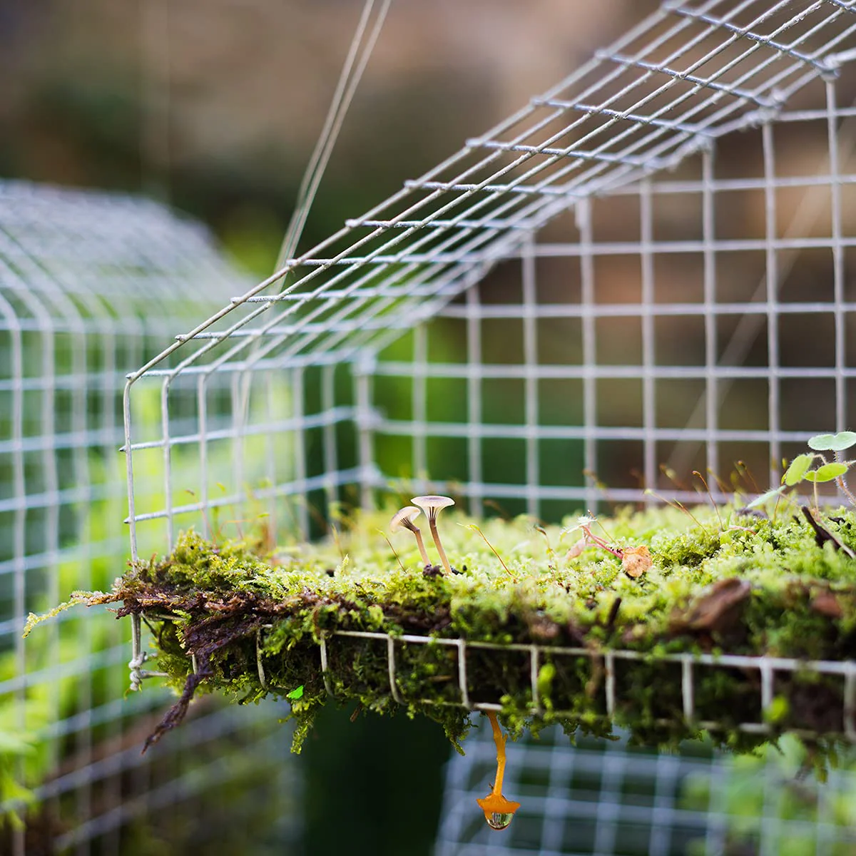 Goplus Hardware Cloth, 1/4 inch 23 Gauge Chicken Wire - Image 9