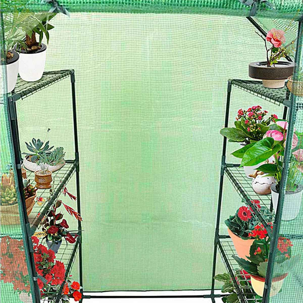 Green House Walk in Plant Gardening Greenhouse Plastic 4-Tier 8 Shelves for Indoor Outdoor, 4.9" x 2.5" x 6.4" - Image 3